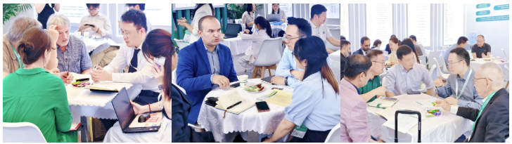 屏幕截图 2025-06-30 135241.png